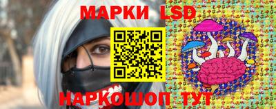 амф Гай