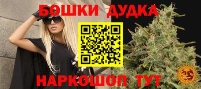 амф Гай