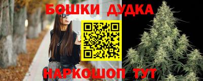 амф Гай