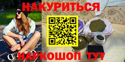 мдпв Гатчина