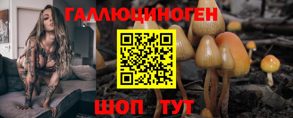 Псилоцибиновые грибы мухоморы  Вход с VPN  Галлюциногенные грибы ЛСД  Касимов 